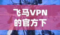 飞马VPN的官方下载地址通常可以通过其官方网站或相关应用商店找到。以下是一些常见的下载途径