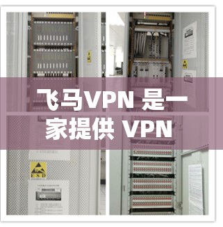 飞马VPN 是一家提供 VPN 服务的公司，主要面向中国用户。以下是一些关于飞马VPN 的推荐和相关信息
