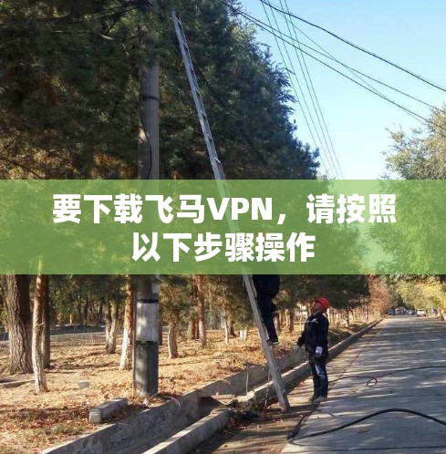 要下载飞马VPN，请按照以下步骤操作